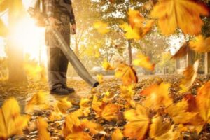 Using a Leaf Blower All Year Round: Beyond Leaves — Clearing Clippings, Gutter Debris and Patio Dirt