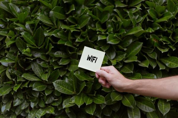 how to fix wifi dead zones